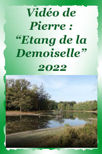 L'étang de la Demoiselle en 2022
