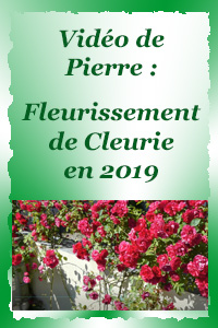 Le fleurissement de Cleurie en 2019