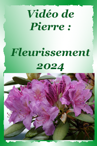 Fleurissement 2024