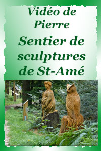 Saint-Amé - son sentier de sculptures - 