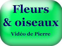 Fleurs et Oiseaux en 2025