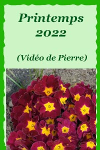 Vidéo de Pierre : printemps 2022