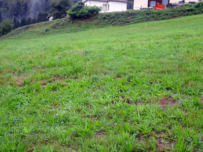 Plan terrain à bâtir