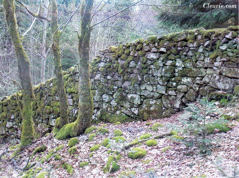 Mur d'enceinte du Clos de Lamberfaing à Cleurie