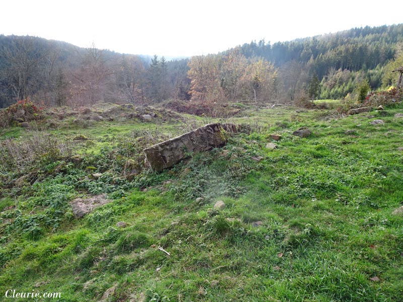 Ruines de la ferme de la Charme à Cleurie