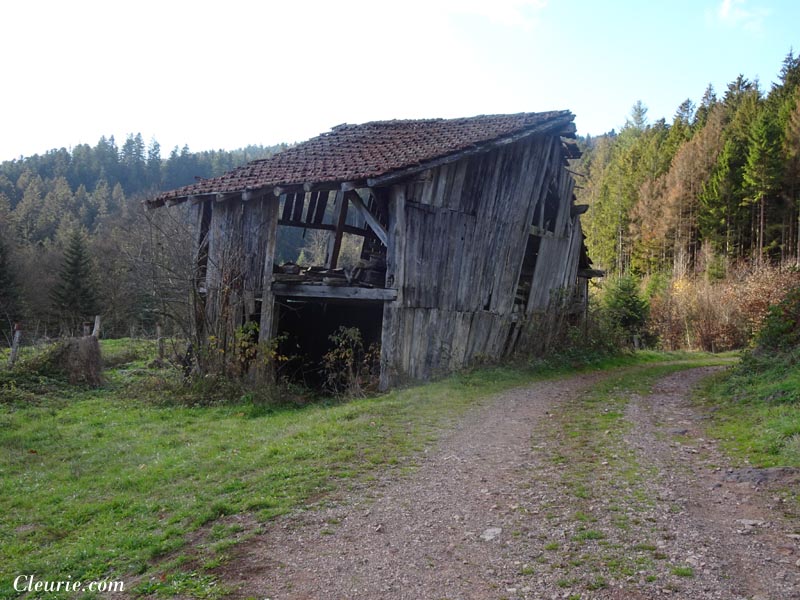 ruines de la ferme de la Charme à Cleurie