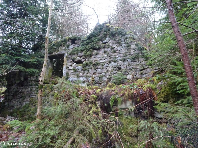 ruines de la ferme de Morlexard à Cleurie