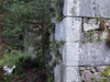 ruines de la ferme de Morlexard à Cleurie