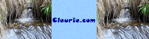 Accueil du site de Cleurie